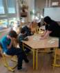 img20250306wa0007_small.jpg