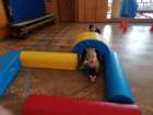 img_20250411_100157_small.jpg