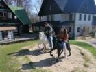 img_20250401_103417_small.jpg