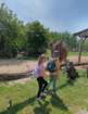 img20260603wa0006_small.jpg
