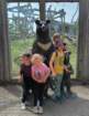 img20260603wa0009_small.jpg