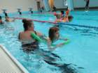 img20260409wa0020_small.jpg