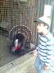 zoo01_small.jpg