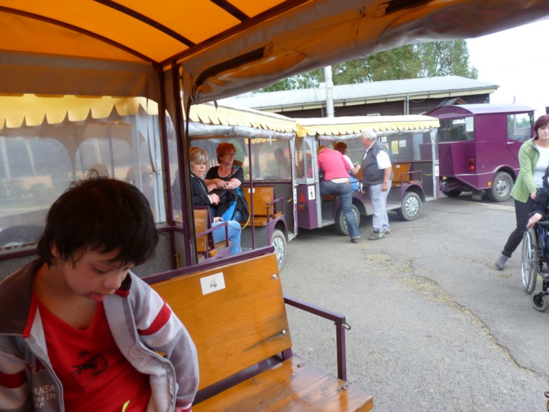 p1050783.jpg